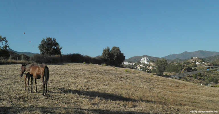 La campagne Andalouse