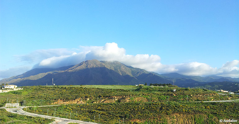 Estepona Sierra Bermeja