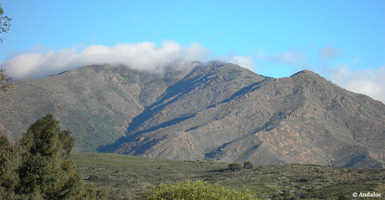 Estepona Sierra Bermeja