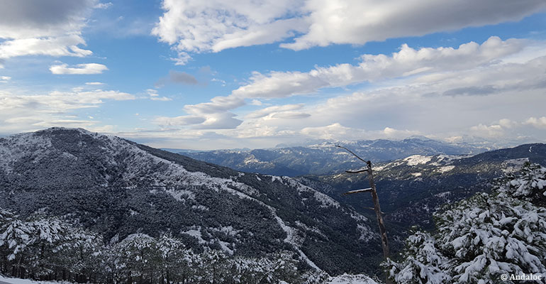 Estepona Sierra Bermeja enneigée