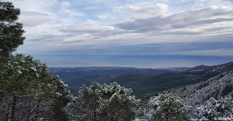 Estepona Sierra Bermeja en hiver